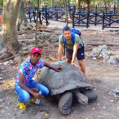 Tartarughe di Zanzibar con Fabio - zanzibar-tour.it