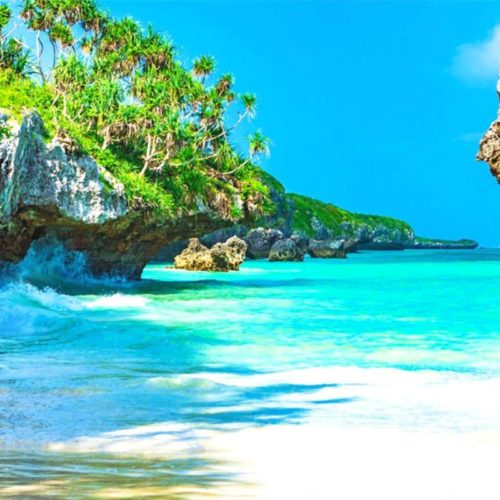 Mare e scogli di Zanzibar - zanzibar-tour.it