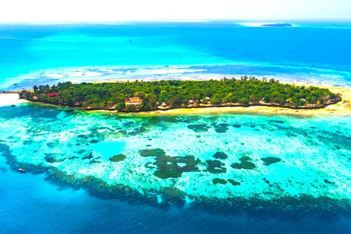 Prison Island Zanzibar - zanzibar-tour.it